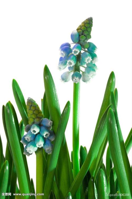 3124ʱ͡ͼ۸ÿϵ90Ԫ85Ԫ